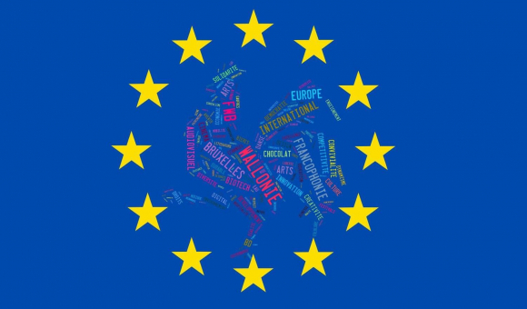 Photo Logo Wallonie et drapeau européen