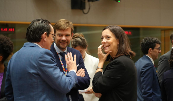 Versmessen Bert Ambassador - Deputy Permanent Representative of Belgium to the EU