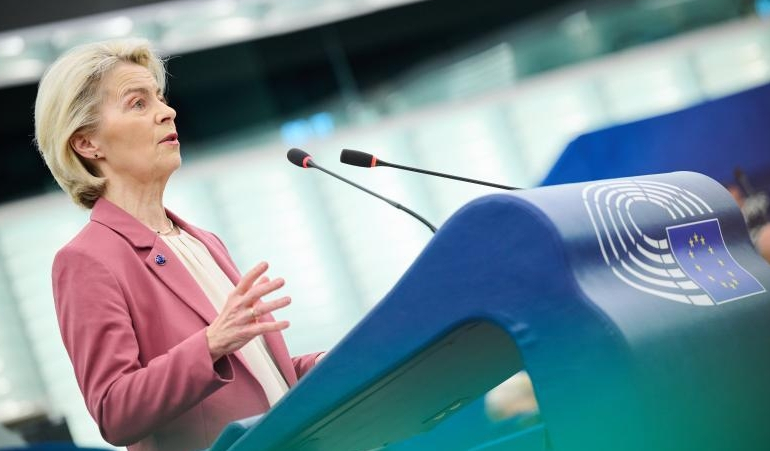© Copyright European Union - 2025